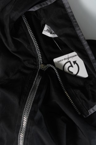 Ανδρικό μπουφάν Shamp, Μέγεθος M, Χρώμα Μαύρο, Τιμή 8,02 €