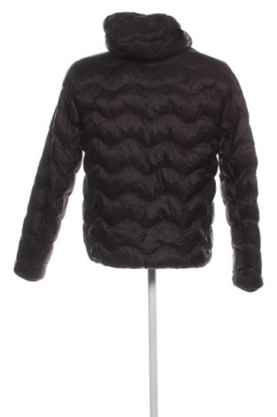 Ανδρικό μπουφάν Superdry, Μέγεθος XL, Χρώμα Μαύρο, Τιμή 36,70 €