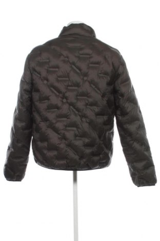 Herrenjacke Superdry, Größe XXL, Farbe Grün, Preis 91,75 €