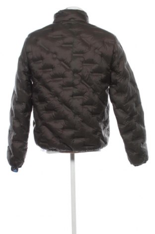 Herrenjacke Superdry, Größe M, Farbe Grün, Preis € 43,12