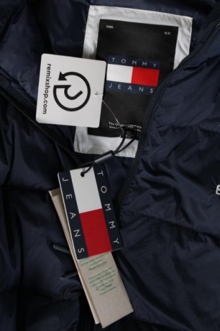 Pánska bunda  Tommy Hilfiger, Veľkosť L, Farba Modrá, Cena  95,26 €