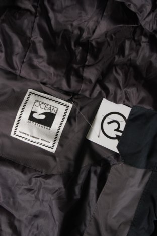Ανδρικό μπουφάν για χειμερινά σπορ Ocean, Μέγεθος M, Χρώμα Γκρί, Τιμή 26,60 €