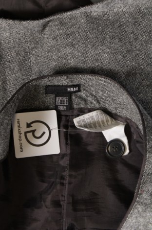 Rock H&M, Größe L, Farbe Grau, Preis € 3,44