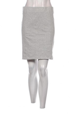 Φούστα Terranova, Μέγεθος XL, Χρώμα Γκρί, Τιμή 4,96 €