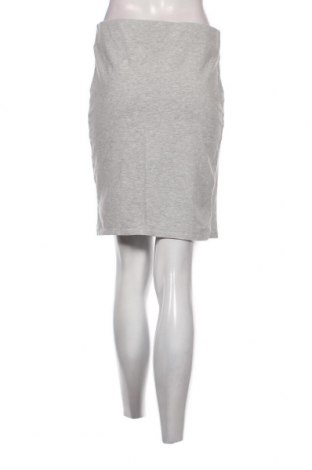 Φούστα Terranova, Μέγεθος XL, Χρώμα Γκρί, Τιμή 2,92 €