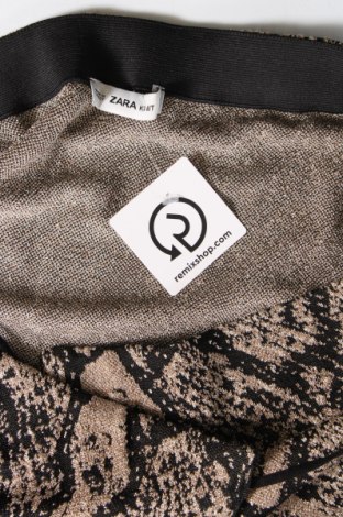 Φούστα Zara, Μέγεθος L, Χρώμα Πολύχρωμο, Τιμή 12,37 €