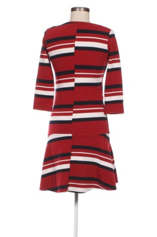 Kleid Alcott, Größe S, Farbe Mehrfarbig, Preis 7,12 €