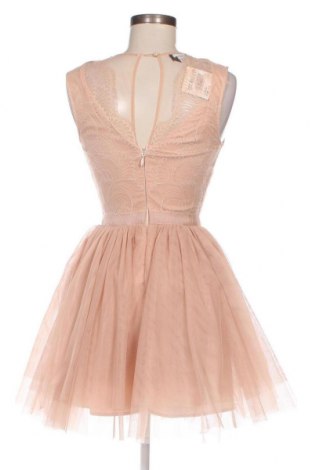 Kleid Bebe, Größe XS, Farbe Orange, Preis € 49,13