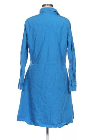 Kleid COS, Größe L, Farbe Blau, Preis 29,36 €
