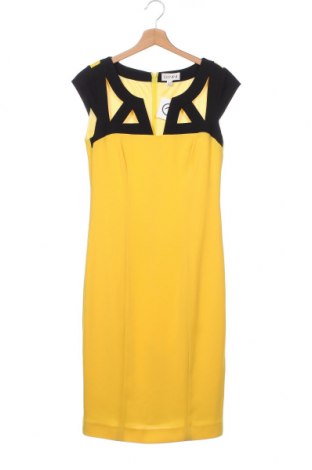 Φόρεμα Danini, Μέγεθος XS, Χρώμα Κίτρινο, Τιμή 23,02 €