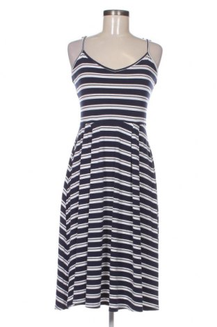 Φόρεμα Dorothy Perkins, Μέγεθος M, Χρώμα Πολύχρωμο, Τιμή 10,46 €