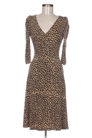 Kleid Dorothy Perkins, Größe S, Farbe Mehrfarbig, Preis € 13,84