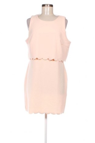 Φόρεμα New Look, Μέγεθος XL, Χρώμα  Μπέζ, Τιμή 24,93 €