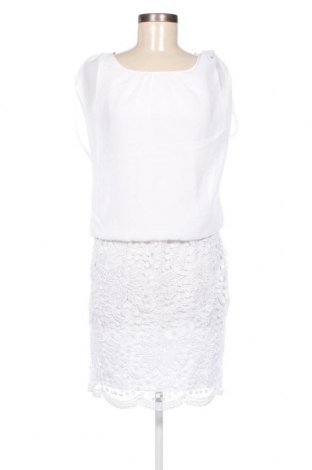 Kleid Patrizia Dini, Größe S, Farbe Ecru, Preis 10,82 €