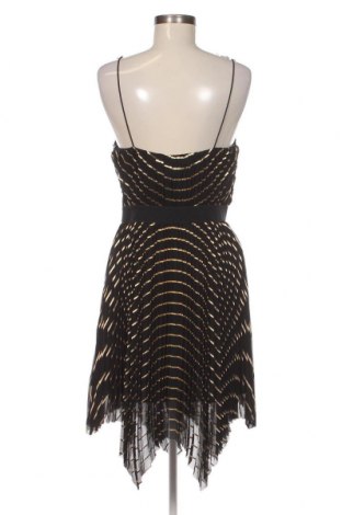 Šaty  Pinko, Veľkosť S, Farba Čierna, Cena  217,43 €