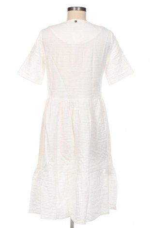 Kleid Rich & Royal, Größe XS, Farbe Weiß, Preis 48,20 €
