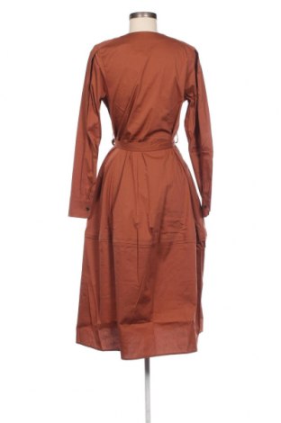 Kleid Scotch & Soda, Größe XS, Farbe Braun, Preis € 51,59