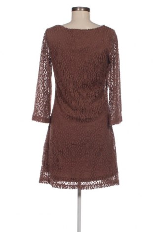 Kleid Sharagano, Größe S, Farbe Braun, Preis € 25,58