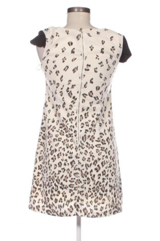 Φόρεμα Usco, Μέγεθος S, Χρώμα Πολύχρωμο, Τιμή 24,90 €