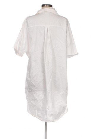 Kleid Zara Trafaluc, Größe L, Farbe Weiß, Preis 24,55 €