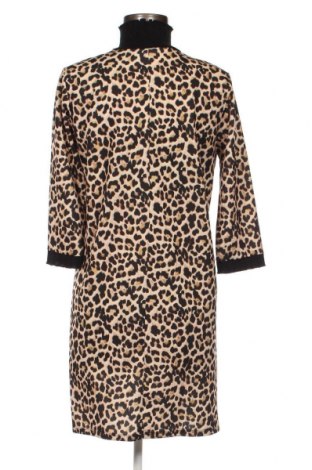 Kleid Zara Trafaluc, Größe S, Farbe Mehrfarbig, Preis € 15,96