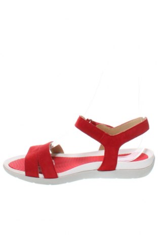 Sandalen Ara, Größe 38, Farbe Rot, Preis 28,00 €