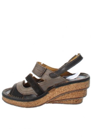 Sandalen Art Shoes, Größe 38, Farbe Mehrfarbig, Preis 76,85 €