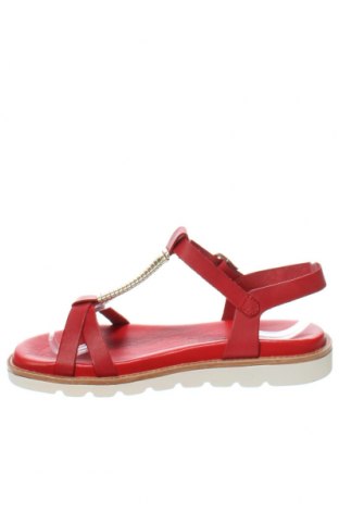 Sandalen Salamander, Größe 37, Farbe Rot, Preis 57,55 €