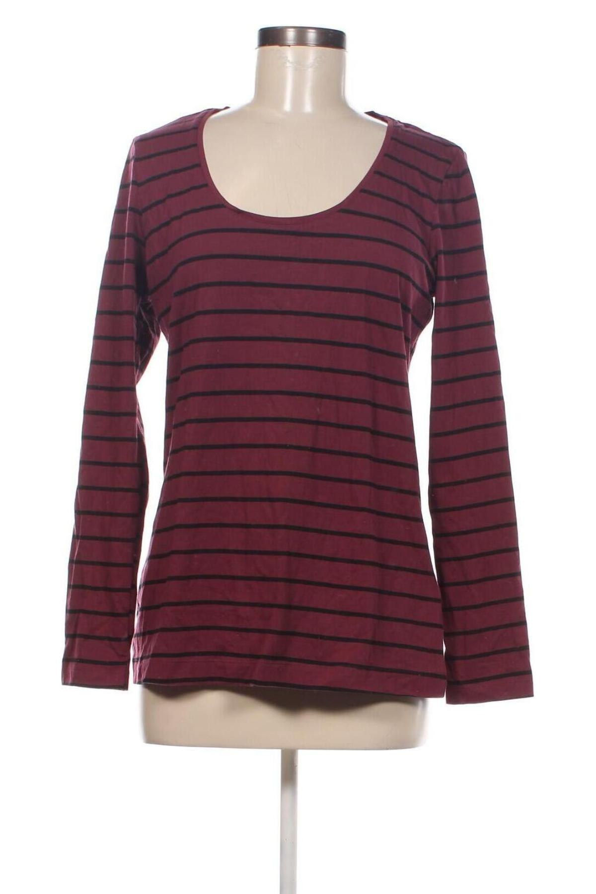 Damen Shirt Esmara, Größe XL, Farbe Lila, Preis 5,95 €