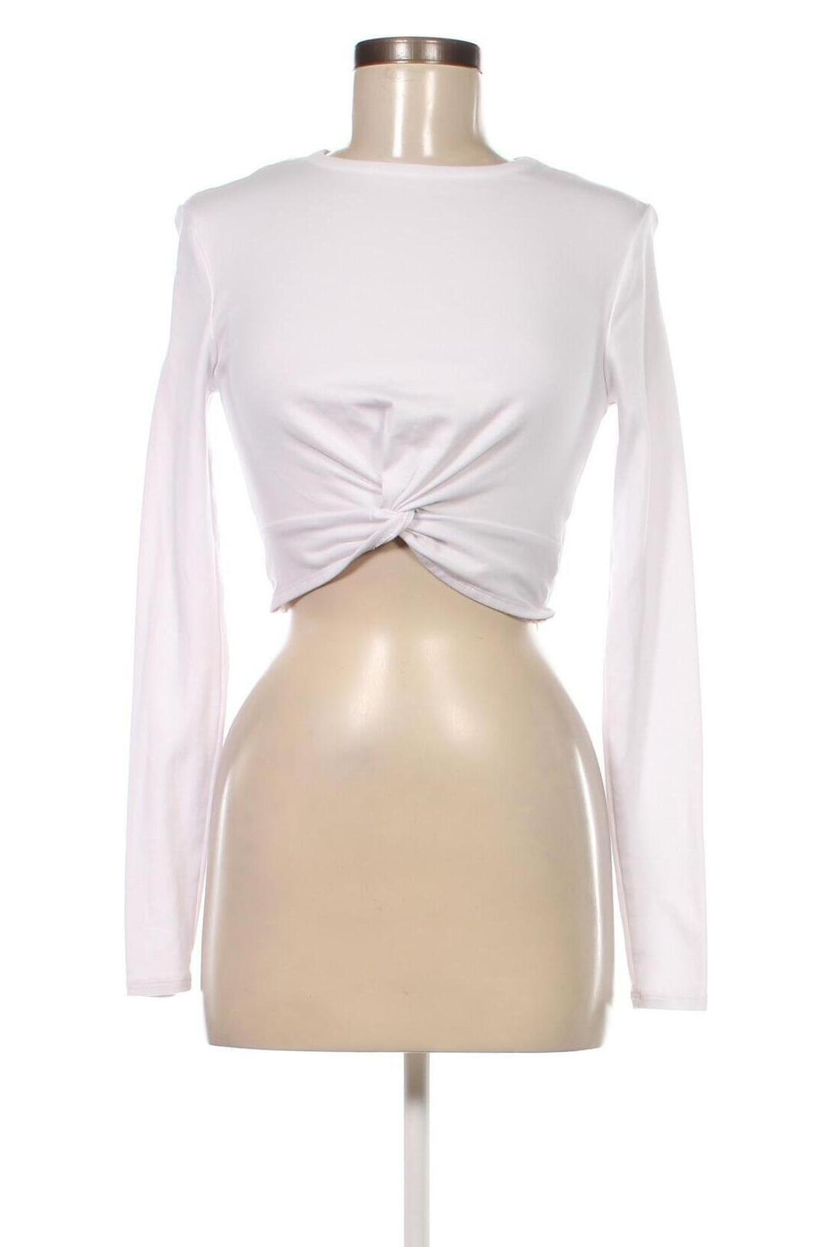 Damen Shirt Kookai, Größe M, Farbe Weiß, Preis 55,67 €