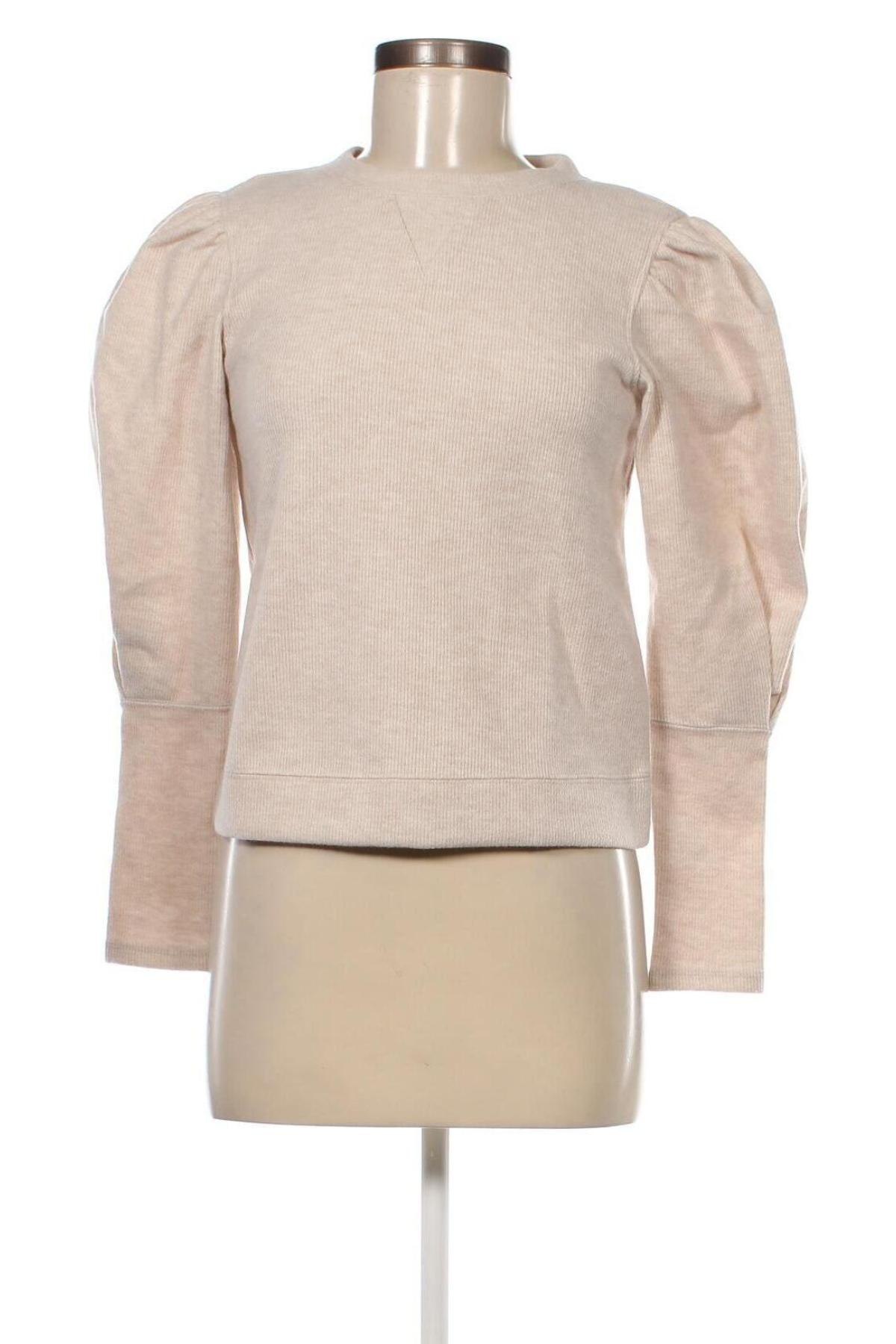 Damen Shirt Mango, Größe XS, Farbe Beige, Preis 31,96 €