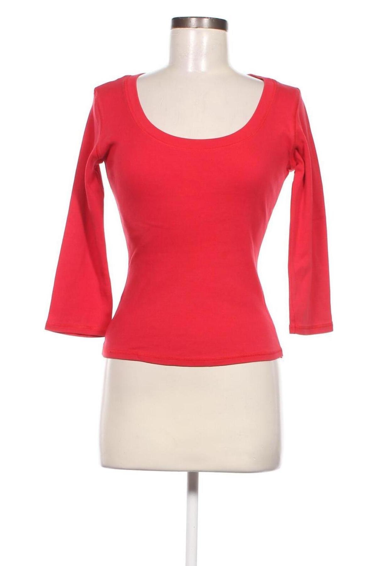 Damen Shirt Marks & Spencer, Größe S, Farbe Rot, Preis 6,21 €