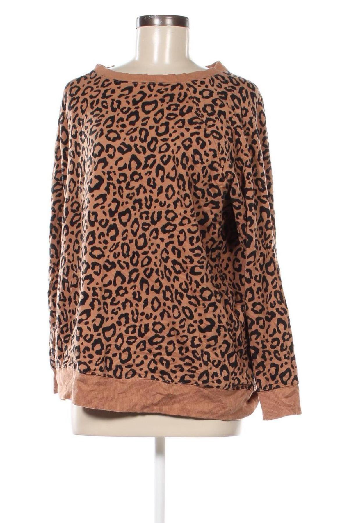 Damen Shirt Torrid, Größe S, Farbe Mehrfarbig, Preis 3,97 €