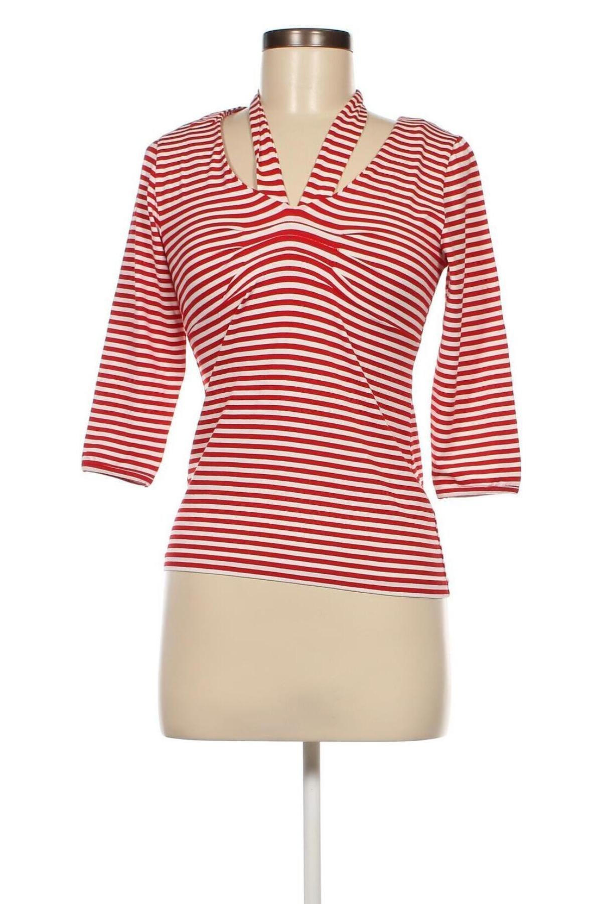 Γυναικεία μπλούζα Vivance, Μέγεθος S, Χρώμα Πολύχρωμο, Τιμή 4,70 €