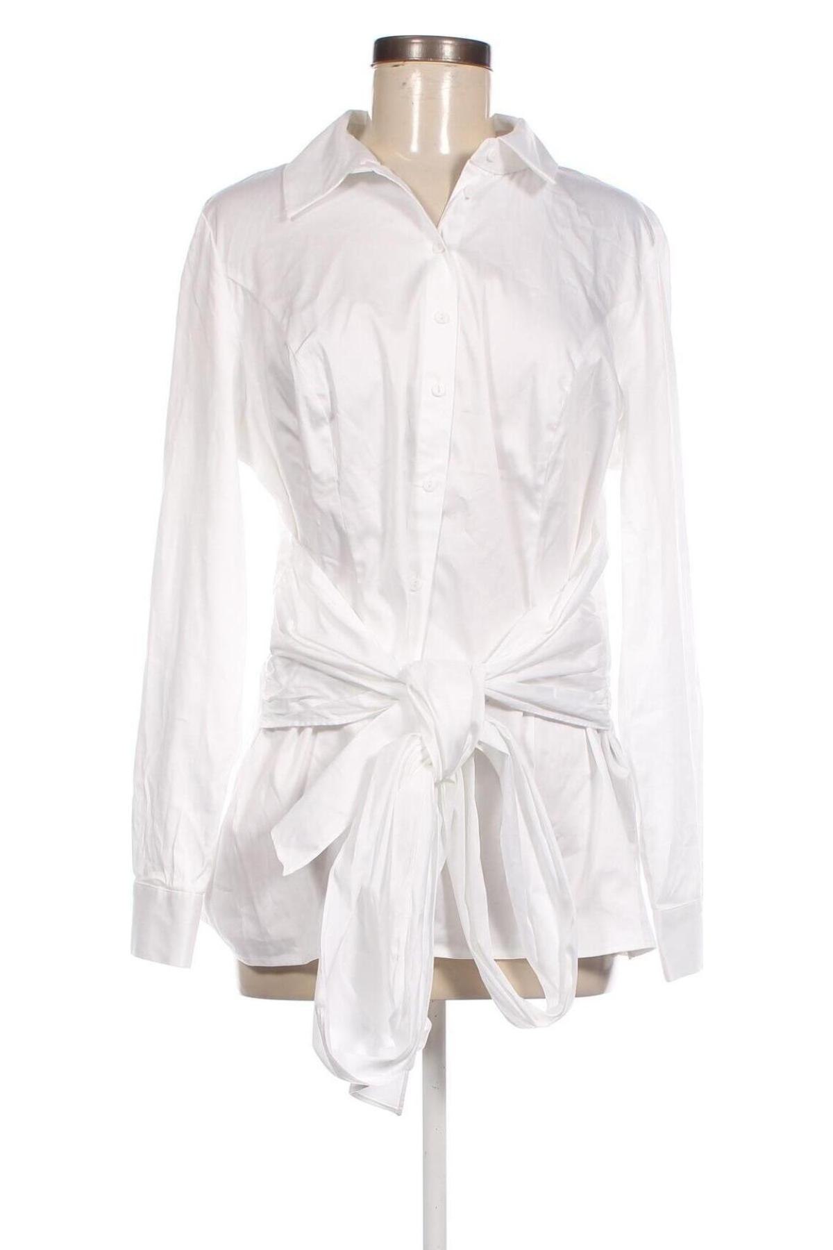 Γυναικείο πουκάμισο Ashley Brooke, Μέγεθος L, Χρώμα Λευκό, Τιμή 12,37 €