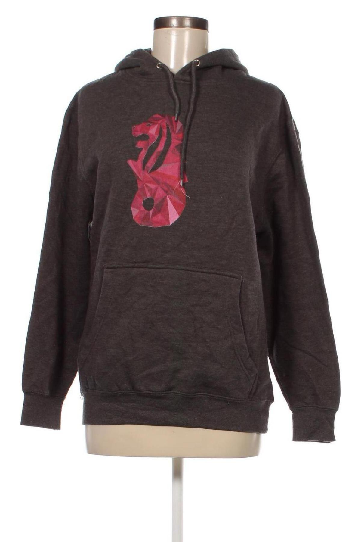 Damen Sweatshirt Lane Seven Apparel, Größe M, Farbe Grau, Preis 4,04 €