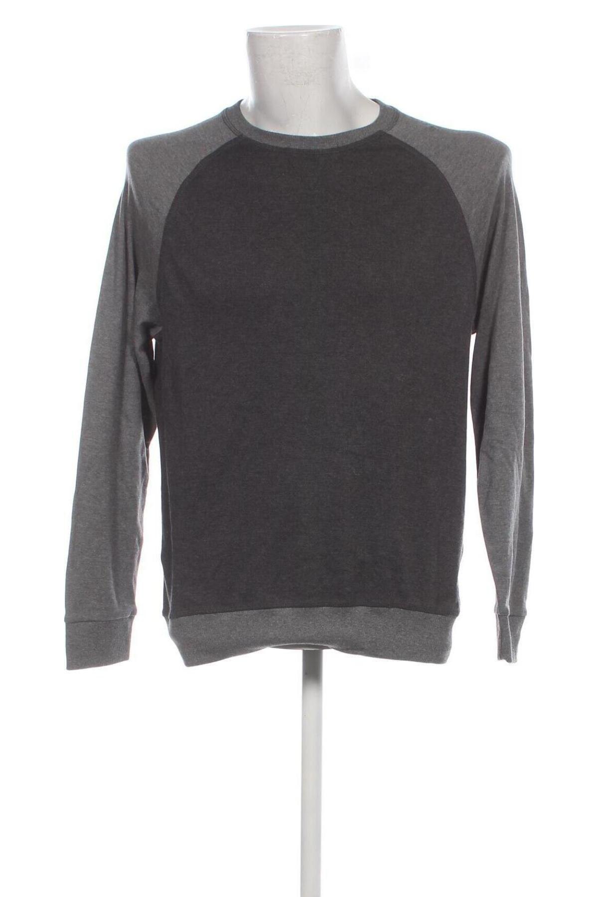 Ανδρική μπλούζα Oviesse, Μέγεθος L, Χρώμα Γκρί, Τιμή 7,99 €