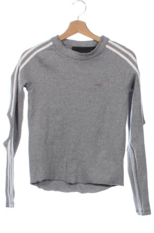 Damen Shirt Adidas, Größe XS, Farbe Grau, Preis 65,05 €