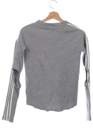 Damen Shirt Adidas, Größe XS, Farbe Grau, Preis 65,05 €