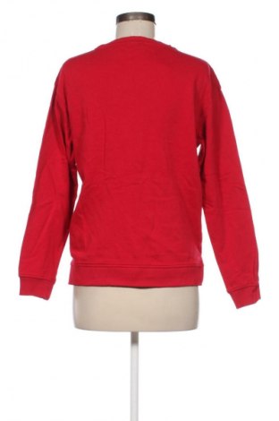 Damen Shirt Alcott, Größe M, Farbe Mehrfarbig, Preis € 19,95