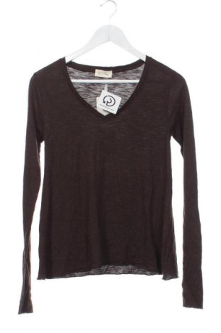 Damen Shirt American Vintage, Größe XS, Farbe Braun, Preis 74,99 €