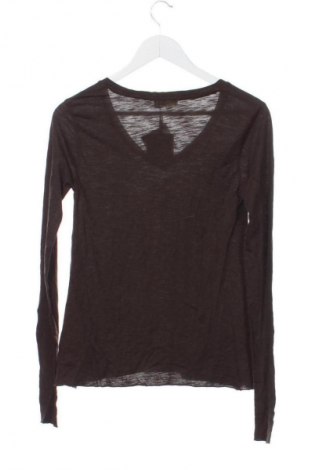 Damen Shirt American Vintage, Größe XS, Farbe Braun, Preis 74,99 €