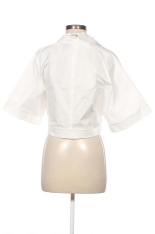 Γυναικεία μπλούζα BCBG Max Azria, Μέγεθος L, Χρώμα Εκρού, Τιμή 93,99 €