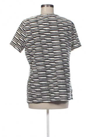 Bluzka damska Collection L, Rozmiar XL, Kolor Kolorowy, Cena 62,99 zł
