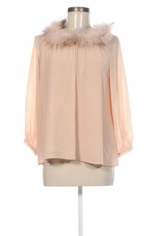 Damen Shirt Fracomina, Größe S, Farbe Beige, Preis € 75,99
