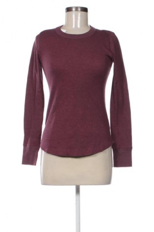 Damen Shirt Gap, Größe S, Farbe Lila, Preis € 15,93