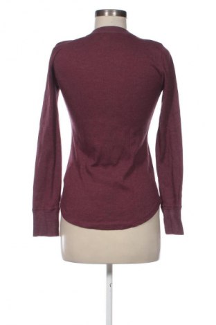 Damen Shirt Gap, Größe S, Farbe Lila, Preis € 15,93
