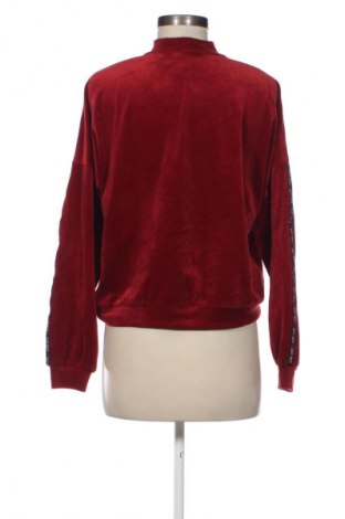 Damen Shirt Hunkemoller, Größe S, Farbe Rot, Preis 9,99 €