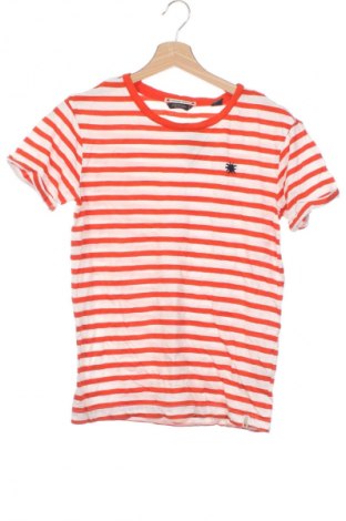 Damen Shirt Scotch & Soda, Größe XS, Farbe Mehrfarbig, Preis € 47,99