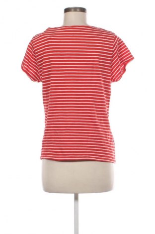 Γυναικεία μπλούζα Unbranded, Μέγεθος XXL, Χρώμα Πολύχρωμο, Τιμή 12,99 €